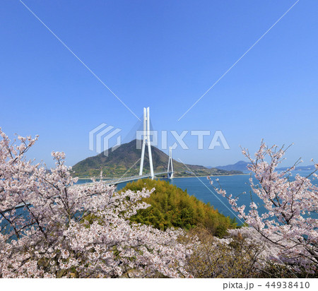 多々羅大橋 多々羅大橋 44938410