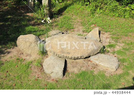 亀石( 大角海浜公園 ) 亀石( 大角海浜公園 ) 44938444