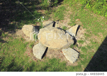 亀石（ 大角海浜公園 ） 44938445