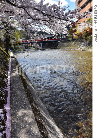 岐阜県高山市 春の高山祭開催時期 中心部を流れる宮川と中橋と満開の桜 岐阜県高山市 春の高山祭開催時期 中心部を流れる宮川と中橋と満開の桜 44938845
