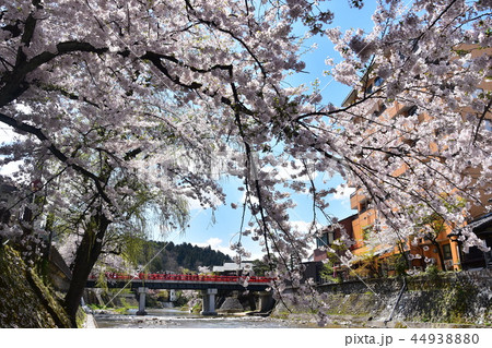 岐阜県高山市 春の高山祭開催時期 中心部を流れる宮川と中橋と満開の桜 岐阜県高山市 春の高山祭開催時期 中心部を流れる宮川と中橋と満開の桜 44938880