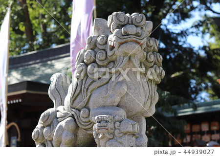 川越 川越八幡宮 狛犬 44939027