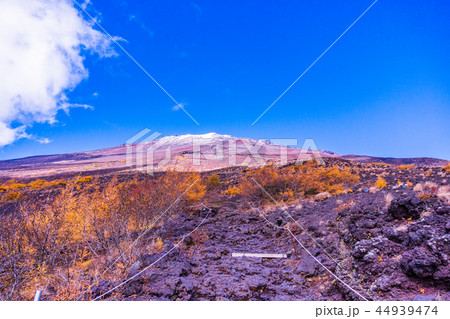 （静岡県）富士山・表富士宮口五合目から望む山頂　秋の紅葉と冠雪 44939474