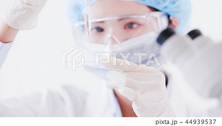 scientist take microscope slide scientist take microscope slide 44939537