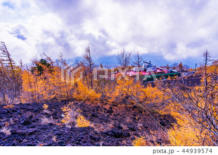 （静岡県）富士山・表富士宮口五合目レストハウス　秋の紅葉と冠雪 44939574
