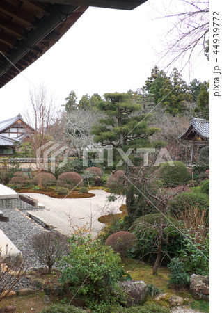 龍潭寺　補陀落の庭 44939772