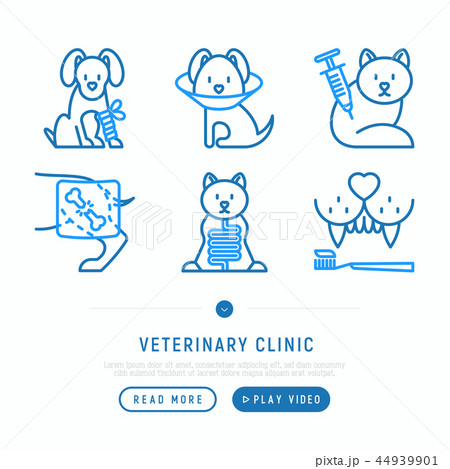Veterinary clinic thin line icons set 44939901