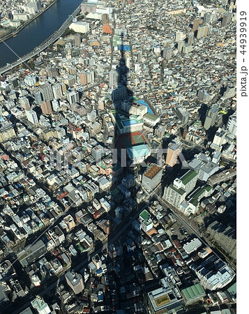 東京スカイツリーの影 44939919