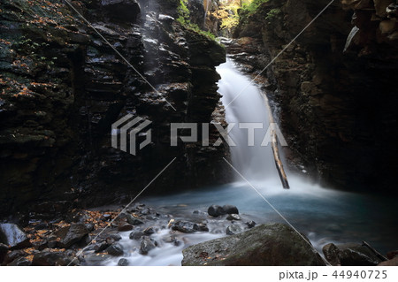 スッカン沢　雄飛の滝　（秋） 44940725