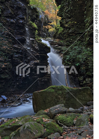 スッカン沢 雄飛の滝 (秋) スッカン沢 雄飛の滝 (秋) 44940736