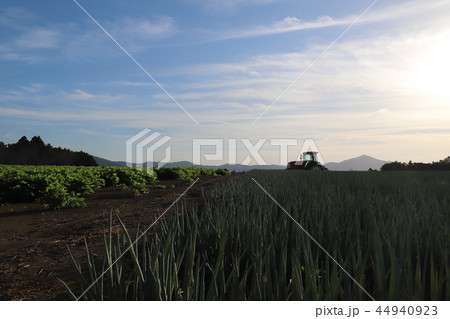 豊穣の丘 茨城県石岡市八郷 豊穣の丘 茨城県石岡市八郷 44940923