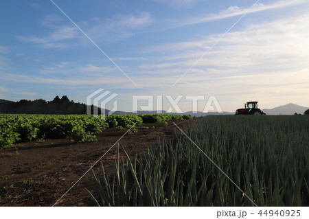 豊穣の丘　茨城県石岡市八郷 44940925