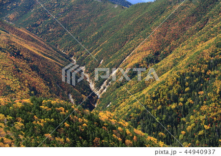 南アルプス塩見岳山頂への道　秋　登山道から見下ろす紅葉の谷 44940937
