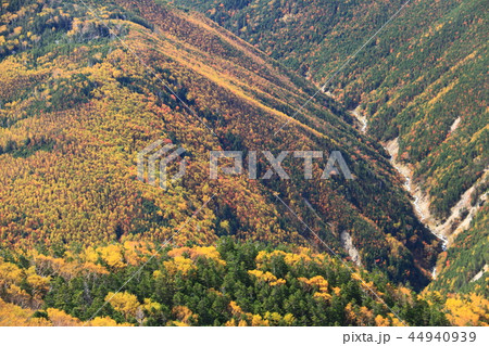 南アルプス塩見岳山頂への道　秋　登山道から見下ろす紅葉の谷 44940939