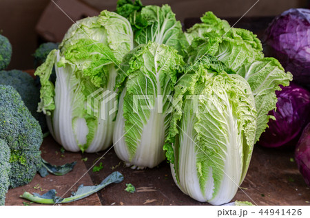 Green fresh cabbage of new harvest ready to sale Green fresh cabbage of new harvest ready to sale 44941426