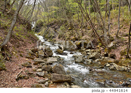あだたら渓谷奥岳自然遊歩道　烏川の風景 44941614