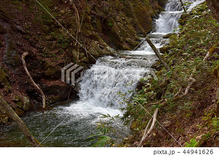 あだたら渓谷奥岳自然遊歩道　烏川の風景 44941626