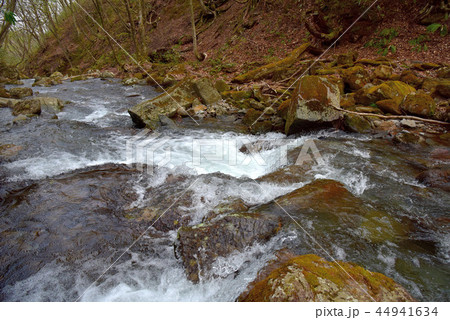 あだたら渓谷奥岳自然遊歩道　烏川の風景 44941634