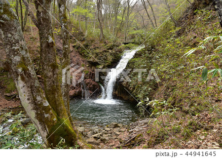 あだたら渓谷奥岳自然遊歩道　烏川の風景 44941645