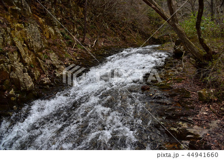 あだたら渓谷奥岳自然遊歩道 烏川の風景 あだたら渓谷奥岳自然遊歩道 烏川の風景 44941660