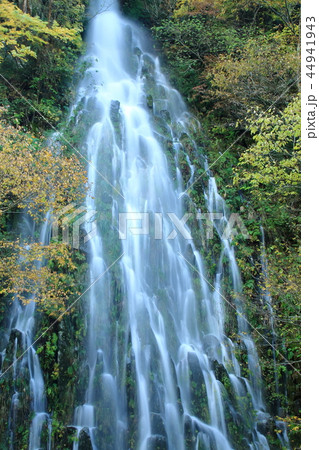 木島平 樽滝 木島平 樽滝 44941943