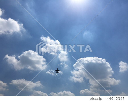 飛行機と雲 44942345