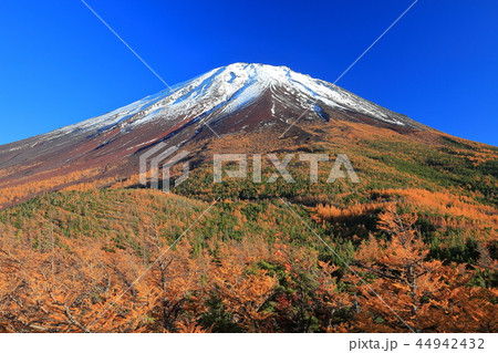 富士山 奥庭から見た黄葉 富士山 奥庭から見た黄葉 44942432