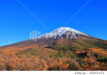 富士山 奥庭から見た黄葉 富士山 奥庭から見た黄葉 44942434
