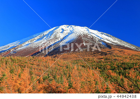 富士山 奥庭から見た黄葉 富士山 奥庭から見た黄葉 44942438