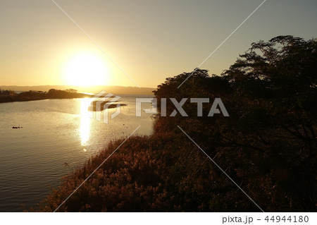 美しき大村湾(郡川の河口より、大村湾を望む) 美しき大村湾(郡川の河口より、大村湾を望む) 44944180