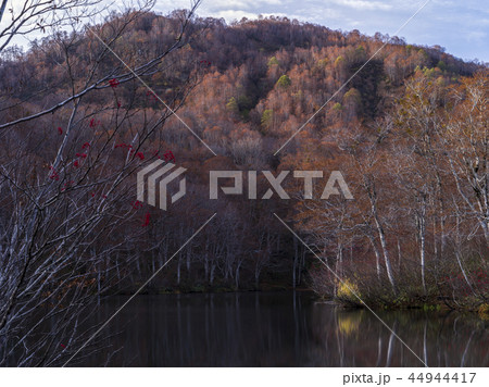 晩秋の鎌池(長野県) 晩秋の鎌池(長野県) 44944417