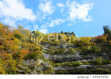日本百景：奥裾花渓谷 絶壁の紅葉　長野市鬼無里 44945009