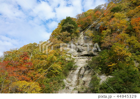 日本百景：奥裾花渓谷 絶壁の紅葉　長野市鬼無里 44945329