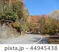 大台ヶ原ドライブウェイと紅葉 44945438