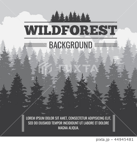 Wild coniferous pine forest vector outdoor nature background Wild coniferous pine forest vector outdoor nature background 44945481