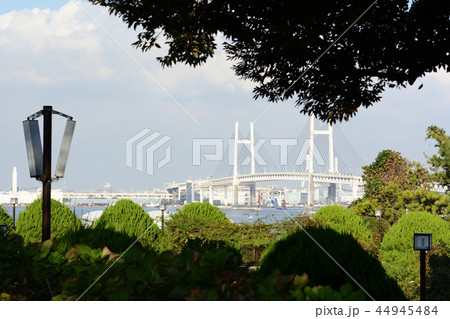 横浜・港の見える丘公園 44945484