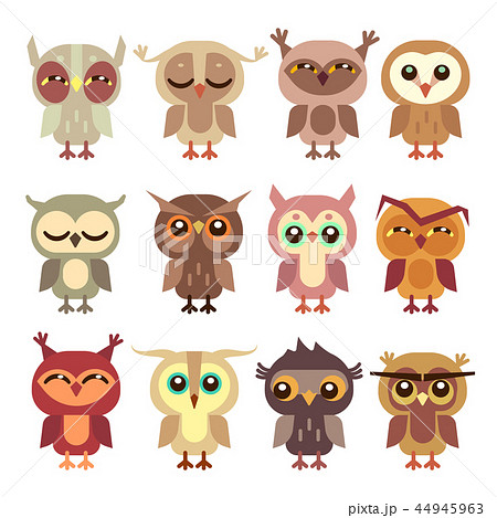 Funny Cartoon Owls Vector Setのイラスト素材