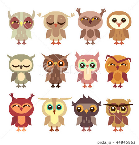 Funny Cartoon Owls Vector Set Stock Illustration