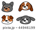 犬の顔 44946199