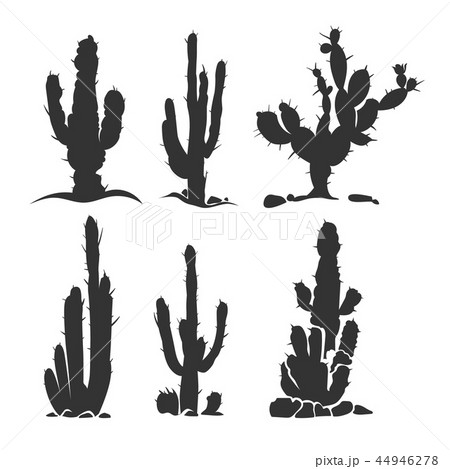 Desert cactus vector silhouette plants isolated on white Desert cactus vector silhouette plants isolated on white 44946278