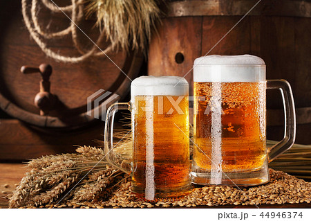 Two mugof beer .With wheat and barley and barrel 44946374