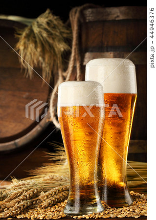 Two mugof beer .With wheat and barley and barrel 44946376