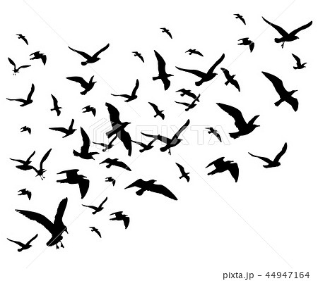 Flying Birds Flock Vector Illustration Isolated のイラスト素材