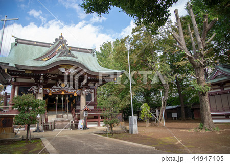 高田馬場駅周辺 高田馬場駅周辺 44947405