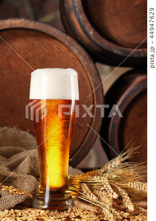 Glass of beer .With wheat and barley and barrel 44947629