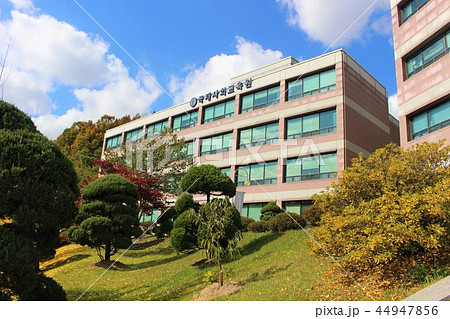 韓国外国語大学校　グローバルキャンパス 44947856