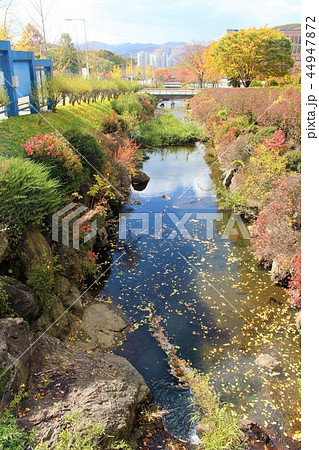 韓国外国語大学校　グローバルキャンパス 44947872