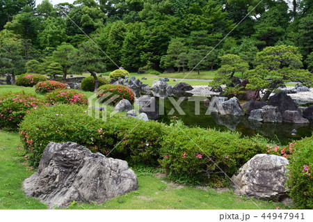二条城の庭園（５） 44947941