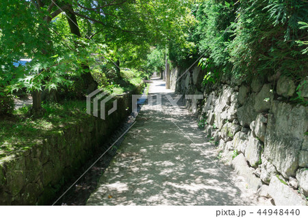 比叡山坂本の用水路 比叡山坂本の用水路 44948440