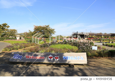 道の駅新潟ふるさと村（新潟県） 44948456